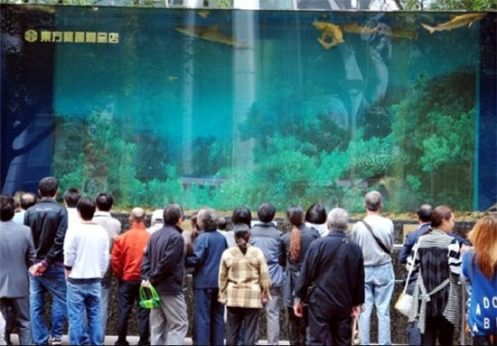 شکستهشدن بزرگترین آکواریوم پر از کوسه