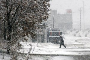بارش برف مدارس ابتدایی استان تهران را تعطیل کرد