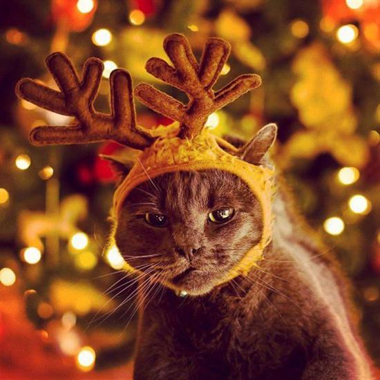 عکس منتخب روز / 30 آذر