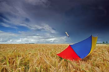 جدید ترین اس ام اس فلسفی دی ۹۱