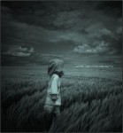 عکس های زیبا هنری از منظره